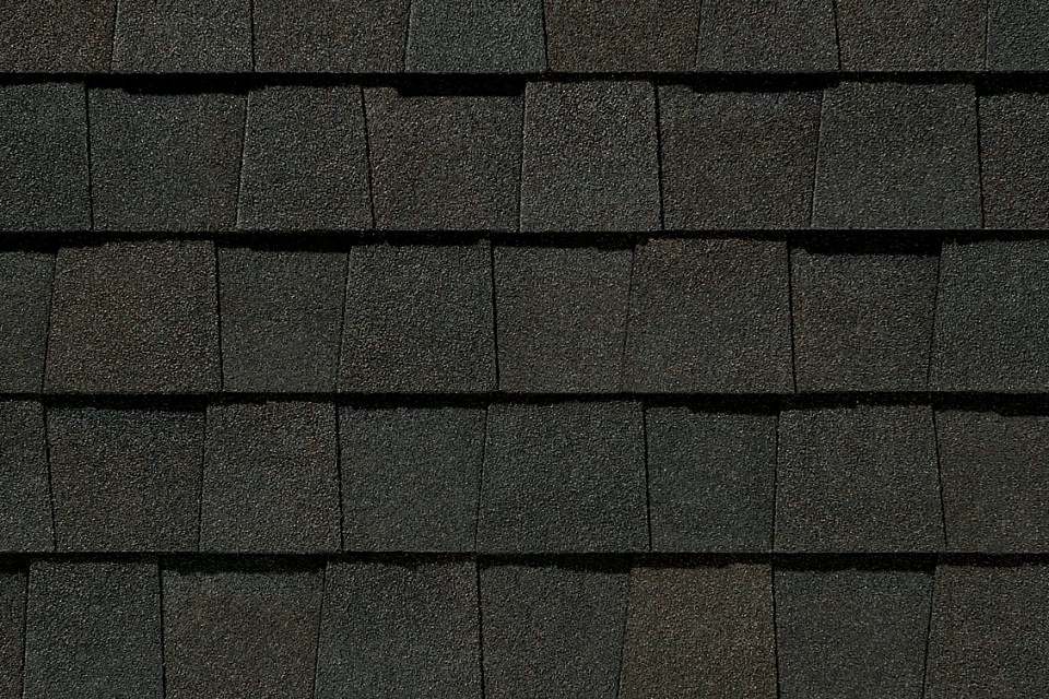 Max Def Black Walnut